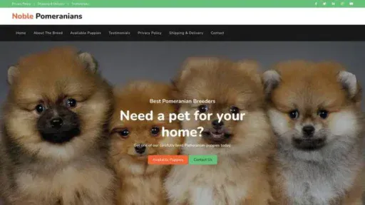 Screenshot of