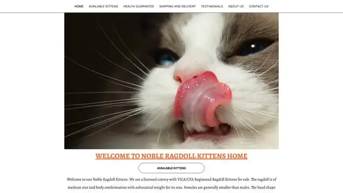 Screenshot of
