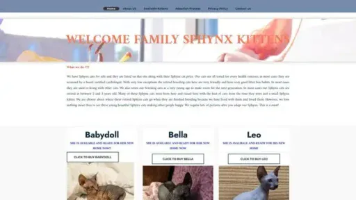 Screenshot of