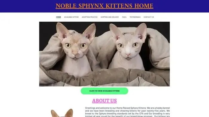 Screenshot of