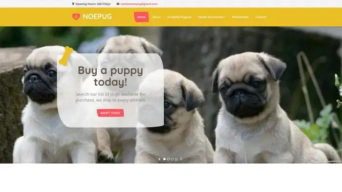 Screenshot of