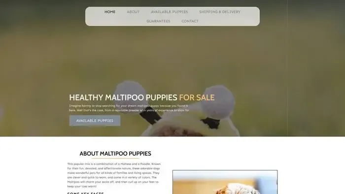 Screenshot of