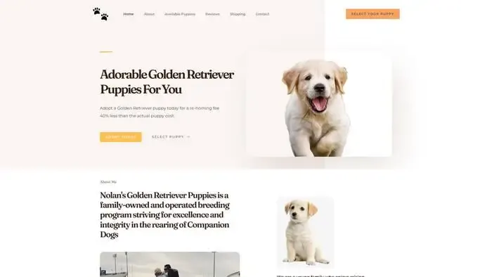 Screenshot of
