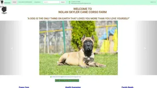 Screenshot of