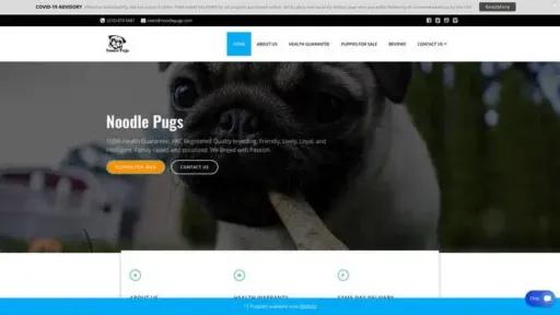 Screenshot of