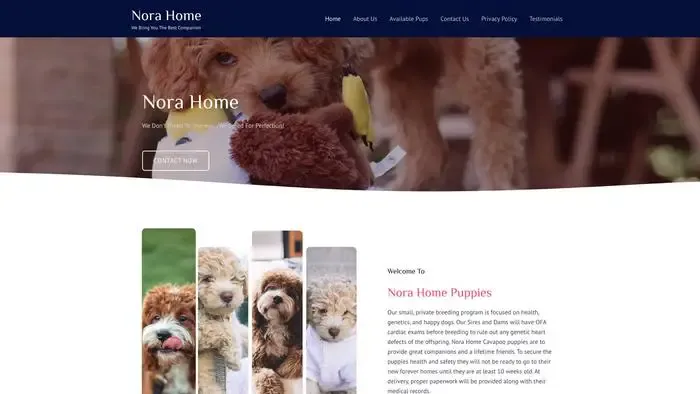 Screenshot of