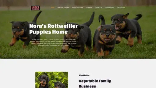 Screenshot of