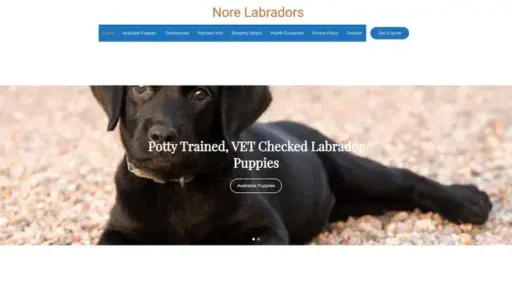 Screenshot of