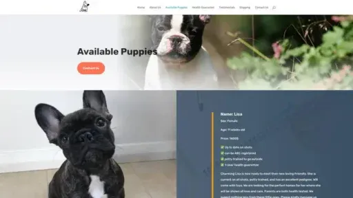 Screenshot of