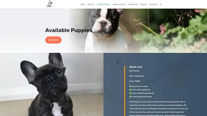 Screenshot of