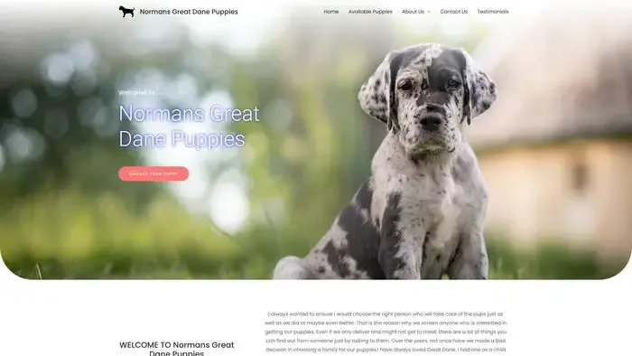 Screenshot of