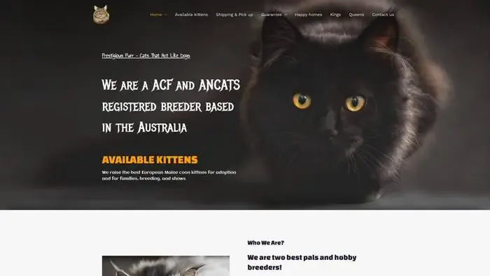 Screenshot of