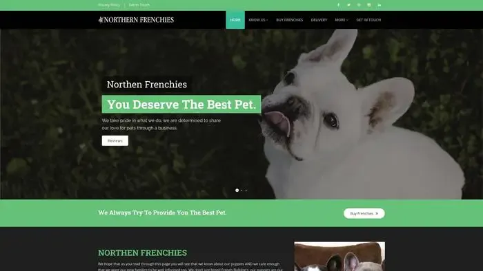 Screenshot of