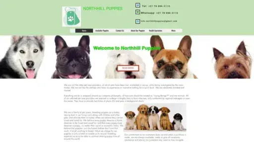 Screenshot of