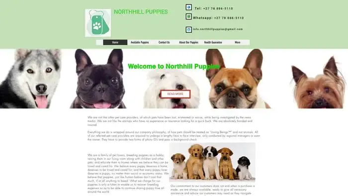 Screenshot of