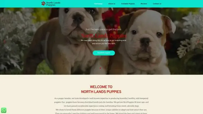 Screenshot of