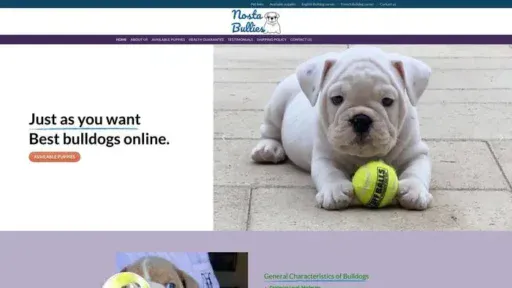 Screenshot of
