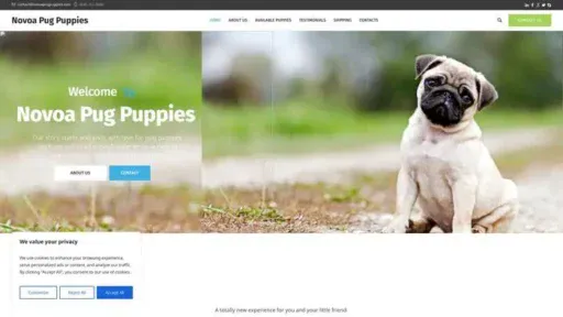 Screenshot of