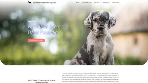Screenshot of