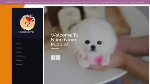 Screenshot of