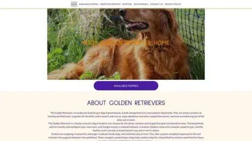 Screenshot of