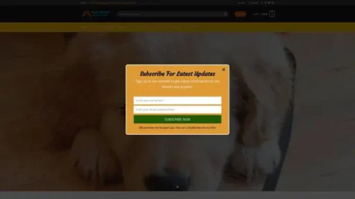 Screenshot of