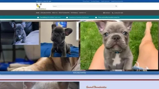 Screenshot of