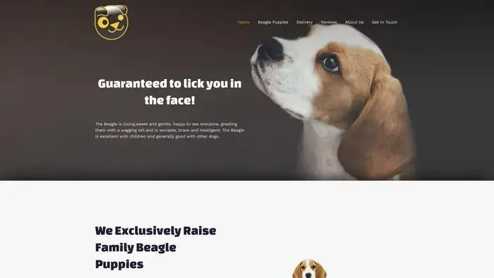 Screenshot of