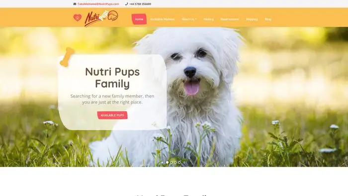 Screenshot of