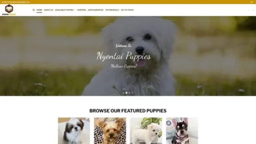 Screenshot of