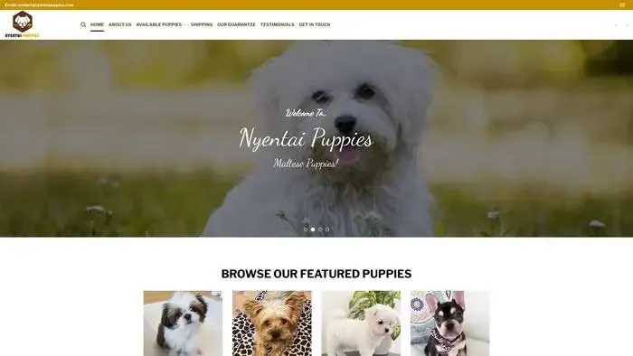 Screenshot of