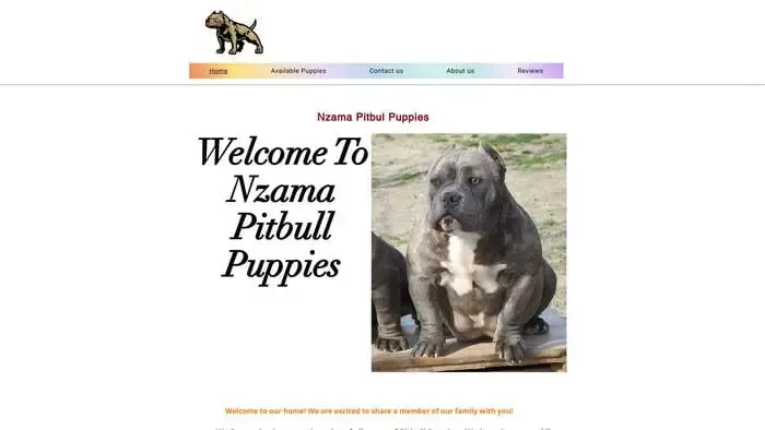 Screenshot of