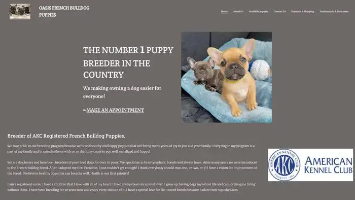 Screenshot of