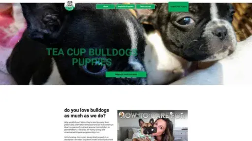 Screenshot of