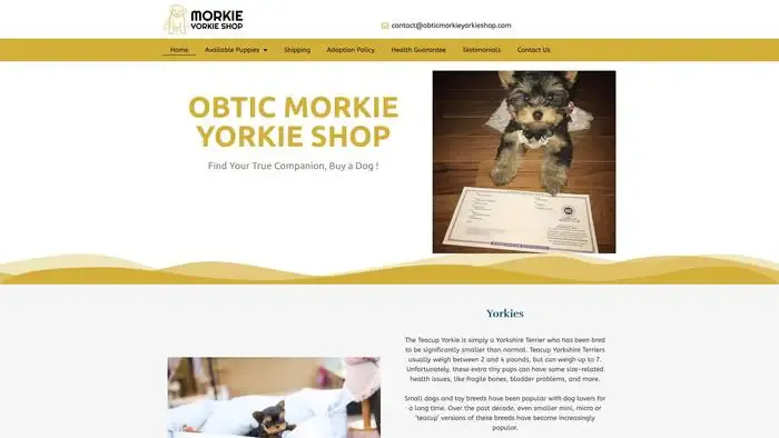 Screenshot of