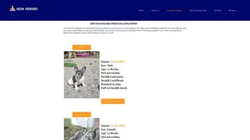 Screenshot of