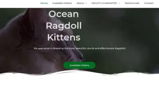 Screenshot of