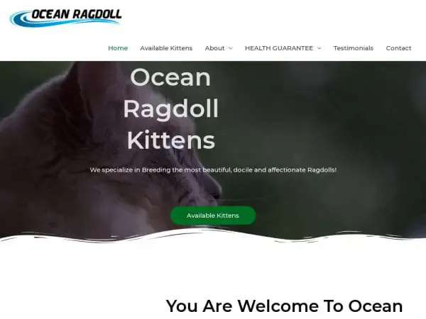 Screenshot of