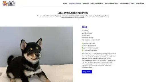 Screenshot of