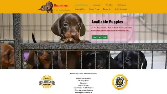 Screenshot of