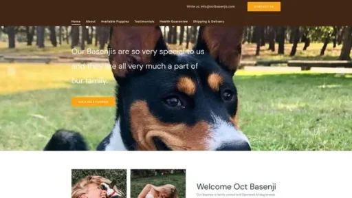 Screenshot of