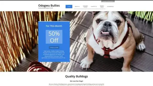 Screenshot of