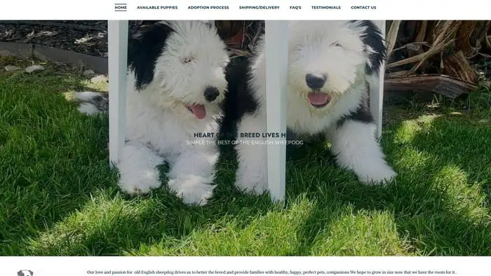 Screenshot of