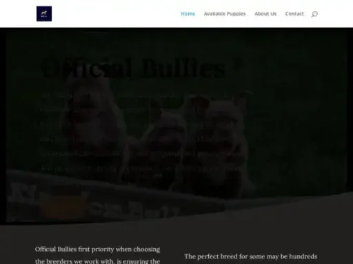 Screenshot of