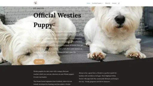 Screenshot of