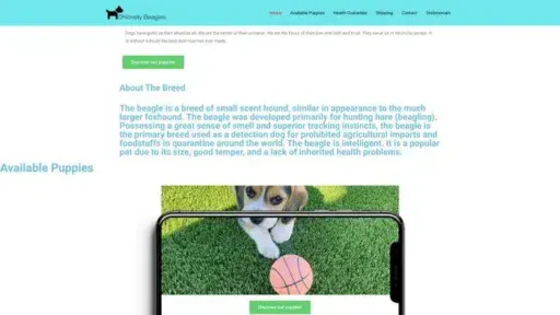 Screenshot of