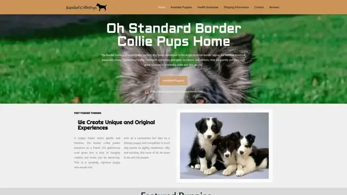 Screenshot of