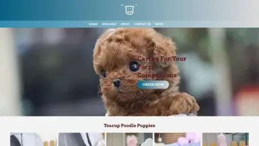 Screenshot of