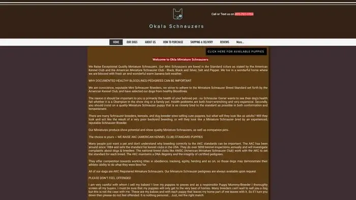 Screenshot of