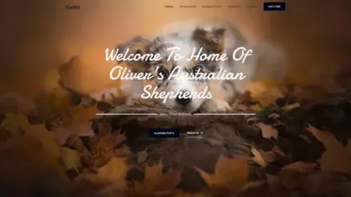 Screenshot of